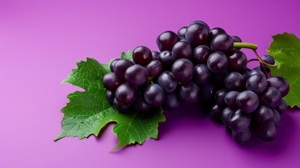Fototapeta premium Vibrant Black Wine Grape and Kyoho Grape: Exquisite Isolation on a Purple Canvas ( Aspect Ratio)