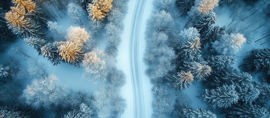 Aerial View of Snow-Covered Forest with a Winding Road