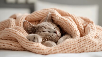 Obraz premium A cute cat sleeping peacefully under a soft, pink blanket.