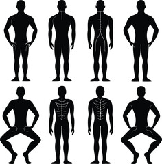 Silhouette Human Body Anatomy Diagrams: Front & Back Views, Spinal Cord & Skeletal Structure Illustrations