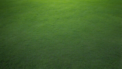 Soil with Green Backgrounds