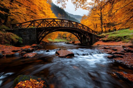 Historic packhorse bridge surrounded by autumn foliage, with a stream flowing beneath