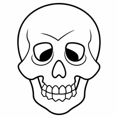 human skull vector line art illustration