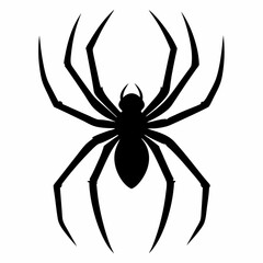 black spider isolated on white