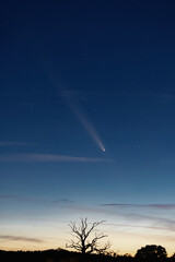 Comet C2023 A3 Tsuchinshan–Atlas