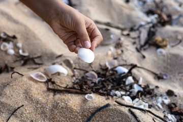 A child's hand picking up a seashell on a sandy beach. Serene scene with scattered seashells and driftwood. Child playing with seashells. Play Therapy, therapeutic activities