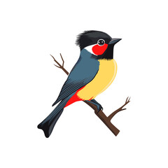 Fototapeta premium Cute vector waxwing small bird sitting on a branch isolated on white background winter bird with yellow and red plumage