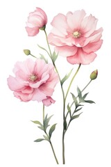 Delicate watercolor pink flowers