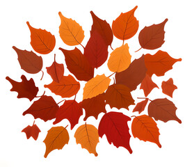 Colorful autumn maple leaves scattered on the ground clipart illustration of traditional autumn leaves for postcards.generative ai