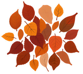 Fototapeta premium Colorful autumn maple leaves scattered on the ground clipart illustration of traditional autumn leaves for postcards.generative ai