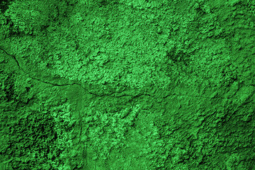 Fototapeta premium texture, wall, green, pattern, grunge, paper, rough, textured, paint, plant, nature, backdrop, concrete, leaf, wallpaper, old, surface, grass, design, dirty, color, vintage, material, closeup, aged