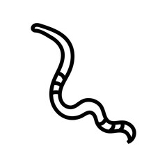 parasite worm line icon vector. parasite worm sign. isolated contour symbol black illustration