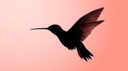Obraz premium Elegant Hummingbird Silhouette Hovering on Vibrant Pink Background in Japanese Anime Style