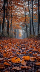 Tranquil Autumn Morning: Forest of Orange and Yellow Leaves at Sunrise