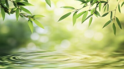 Serene nature background with bamboo leaves and water ripples.