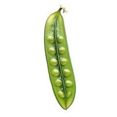 Fresh green peas in pod showcase their vibrant color and natural sheen, highlighting their freshness and nutritional value. Perfect for healthy dishes and recipes