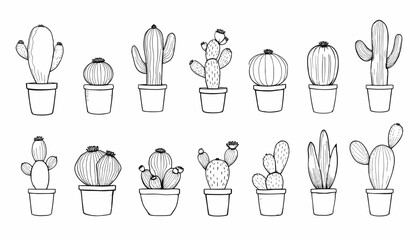 Hand-drawn cactus and succulent plants collection vector illustration