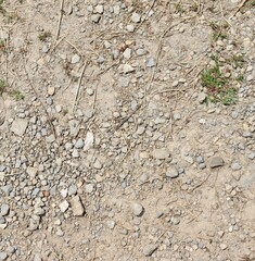 A close view of the small pebbles in the dirt surface.