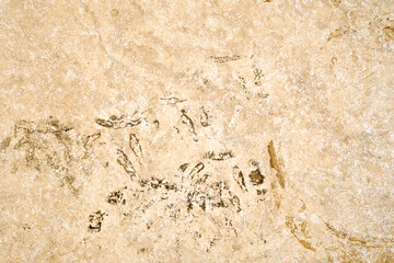 Dirty tiles with shoeprints stain, soil and dust. How to clean tiles concept.