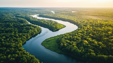 Aerial view of the Mississippi River winding through lush landscapes, ample space for copy