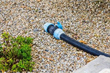 Garden Hose Resting on Gravel Alongside Green Foliage in a Sunny Outdoor Setting