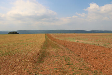 Trampelpfad durch abgeerntetes Feld im Herbst bei Konz. Aussicht vom neuen Wanderweg Moselsteig...