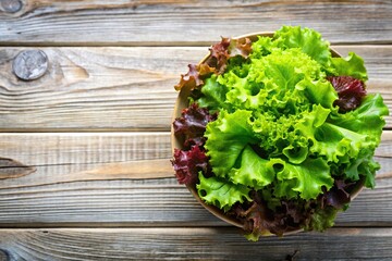 Fototapeta premium Fresh green lettuce salad mix on light wooden background with copy space