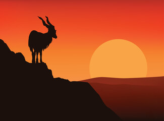 markhor mountaing goat standing on high cliff at sunset - horizontal vector silhouette view of copy space dramatic wilderness scene with wild animal