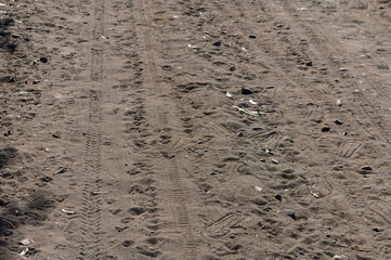 A Serene Dirt Path Winds Through a Tranquil Landscape Under a Bright Sun, Inviting Exploration and Adventure in Nature\'s Embrace