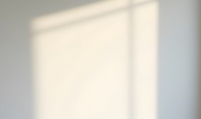 A faint window shadow falls onto a crisp white wall in the soft morning light.
