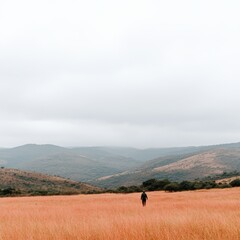 A solitary figure walks through a vast, grassy landscape under a cloudy sky.