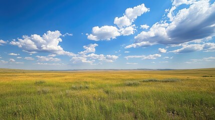 Vast prairies of the Great Plains in the United States, large open sky for text