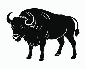 Buffalo illustration