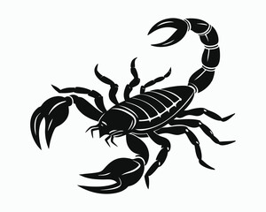 Scorpion vector art