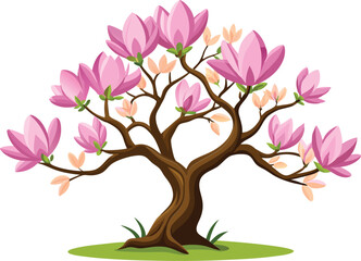 Magnolia tree Isolated flat vector illustration 