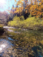 Clear mountain river in fall forest. Beautiful wild and colorful landscape.