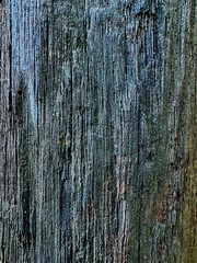 Obraz premium Sponge stone texture, sponge stone background with tens of thousands of holes, the stone with holes has its own uniqueness.