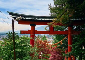 tori gate tree branch fuji