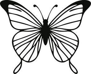 black and white butterfly