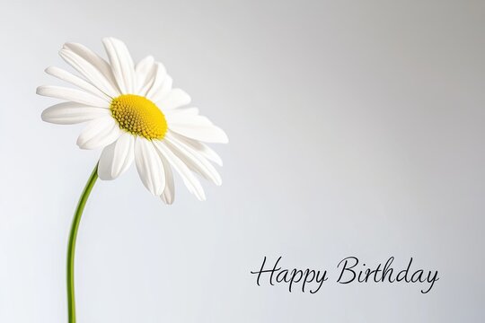 Minimalist Daisy Happy Birthday Card Design for Elegant Celebrations