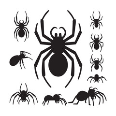 Set of black silhouette spider icon isolated, Black spiders set .