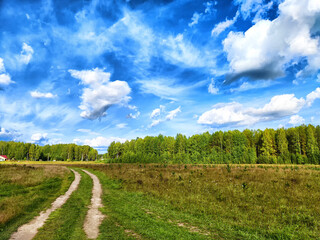 A winding dirt path leads through a vibrant green field under a dramatic blue sky with scattered clouds during midday