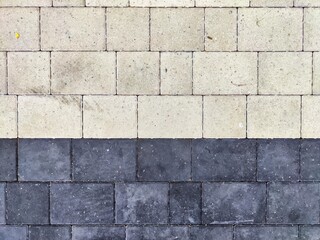 Paved pathway contrasting light and dark bricks in a geometric pattern on a sunny day