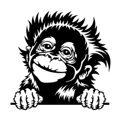 Peeking monkey - Comic Animal - Funny Animal - Wildlife Stencil - vector clipart stock