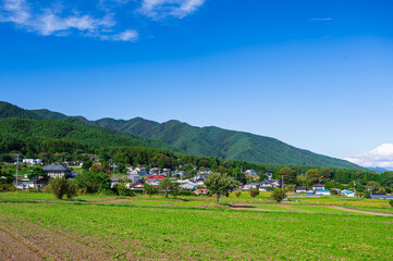 秋ののどかな田園風景　箕輪町