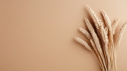 Dried Wheat Bundle on Beige Background, copy space for text 