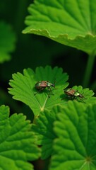Bugs sitting on lush greenery detailed insects and plant life