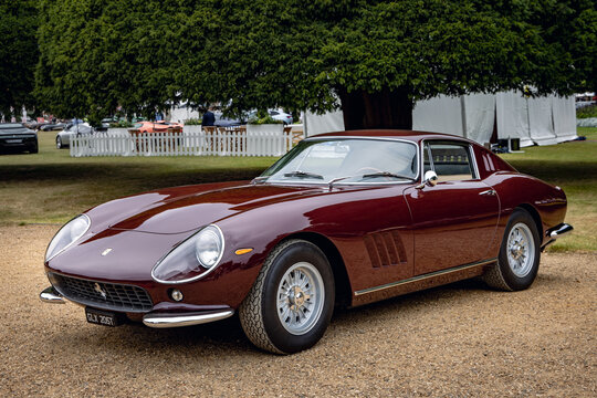 1965 Ferrari 275 GTB 6C . Concours of Elegance 2024, Hampton Court Palace, London, UK