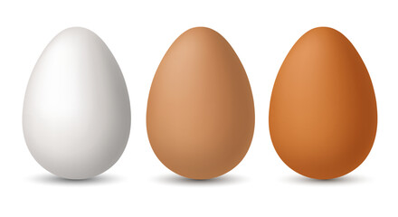 Chicken eggs. Set of vector 3D eggs, isolated on a white background.