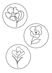 hand drawn illustration